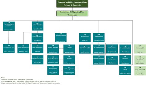 solaire organizational chart